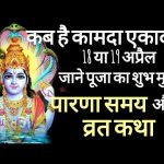 दुबई में रिकॉर्ड बारिश से फ्लाइट्स पर भी पड़ रहा असर, एयर इंडिया ने रद्द की उड़ानें