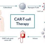मकान में वृद्ध महिला की जिंदा जलकर मौत, पुलिस हत्या और हादसा दोनों एंगल से कर रही जांच