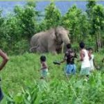राइस मिल में लगी भीषण आग, दमकल की गाड़ियों ने 4 घंटे में आग पर पाया काबू, धान और बारदाना जलकर राख हो गए