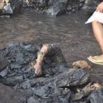 बस्तर में बोले राजनाथ सिंह -छत्तीसगढ़ का भाग्य कोई बदल सकता है तो वह भाजपा ही बदल सकती है