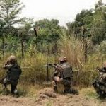कटघोरा वनमंडल में हाथियों की संख्या हुई 42, 3 लोगों पर हाथी के हमले के बाद आसपास के गांवों में अलर्ट