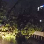 ‘मैं आ गया’: तिहाड़ जेल से बाहर आए केजरीवाल, आज 11 बजे जाएंगे हनुमान मंदिर,पत्रकारों से करेंगे चर्चा