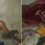 शराब घोटाला मामले में अनिल टुटेजा ने FIR को दी चुनौती, हाईकोर्ट में हुई बहस, अब जून में होगी अगली सुनवाई