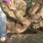 महादेव बैटिंग एप मामले में बर्खास्त कांस्टेबल अर्जुन यादव ने खोले राज, बताया 20 से अधिक पैनल का करता था संचालन