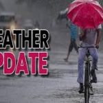 कोरबा में सड़क पार करते कैमरे में कैद हुए 4 बाघ और शावक, ग्रामीणों में दहशत