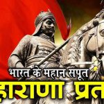 मैट्स यूनिवर्सिटी के हिन्दी विभाग में विदाई समारोह का आयोजन
