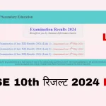 छत्तीसगढ़ के बीजेपी लीडर्स को ओडिशा और झारखंड में प्रचार की मिली जिम्मेदारी, कर रहे हैं चुनावी सभा