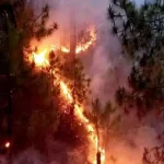 स्वीप अभियान में बेहतरीन भुमिका निभाने के लिए बलौदाबाजार-भाटापारा का नाम ‘गोल्डन बुक ऑफ वर्ल्ड रिकॉर्ड’ में हुआ दर्ज