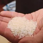 छत्तीसगढ़ हाईकोर्ट के जस्टिस अरविंद चंदेल का पटना हुआ तबादला