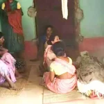 नगरीय निकाय चुनाव के पहले वार्डों का होगा परिसीमन, जरूरी दिशा निर्देश जारी