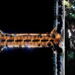 CGPSC मुख्य परीक्षा के लिए प्रवेश पत्र जारी, वेबसाइट से ऑनलाइन कर सकते हैं डाउनलोड
