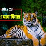 छत्तीसगढ़ के 17 जिलों में यलो अलर्ट जारी ,अगले दो दिनों में सरगुजा और बस्तर संभाग में भारी बारिश की चेतावनी