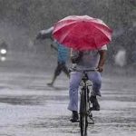 एक पेड़ मां के नाम अभियान के तहत विद्युत विभाग के अधिकारियों एवं कर्मियों ने किया पौधा रोपा
