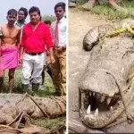 जांजगीर में डायरिया से दो मासूमों की मौत, स्वास्थ्य विभाग में मचा हड़कंप