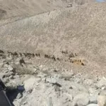जिला मेडिकल कॉलेज में डेंगू मरीज की मौत, डॉक्टरों पर लापरवाही का आरोप,परिजनों ने किया हंगामा