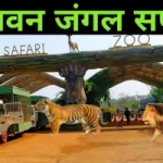 छत्तीसगढ़ में दो नई रेल लाइन परियोजनाओं के अंतिम सर्वे और डीपीआर निर्माण की मिली स्वीकृति