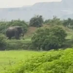 पश्चिम बंगाल के पूर्व मुख्यमंत्री बुद्धदेव भट्टाचार्य का निधन, 80 साल की उम्र में ली आखिरी सांस