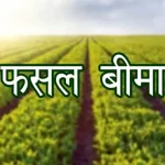 रमेश बैस का सक्रिय राजनीति में कदम ? जन्मदिन के बहाने शक्ति प्रदर्शन या सामान्य मेल-मिलाप