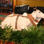 बहराइच में एक और हमला: आदमखोर भेड़िये ने फिर 2 साल की मासूम को निगला, बुजुर्ग को किया घायल