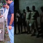 आसमानी कहर ने छत्तीसगढ़ में ली एक और जान, आकाशीय बिजली गिरने से नौ महीने की गर्भवती महिला की मौत