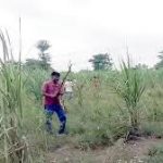 छात्र को थप्पड़ मारने वाले लाइब्रेरियन पर हुई बड़ी कार्रवाई ,किया गया निलंबित