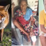 जशपुर में कट्टे की नोक पर लूट, बदमाशों ने किराना दुकान से लूटे नगदी और सामान