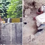 दर्दनाक हादसा: रेल पटरी पर बैठकर एक साथ मोबाइल पर गेम खेल रहे थे दो दोस्‍त, ट्रेन की चपेट में आने से मौत