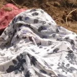 महाराष्ट्र-झारखंड विधानसभा चुनाव की तारीखों का एलान आज; चुनाव आयोग करेगा प्रेस कॉन्फ्रेंस