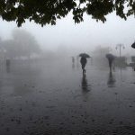 माड़ के टॉप मोस्ट नक्सली ढेर, सुरक्षाबलों को बड़ी कामयाबी, 31 नक्सलियों के शव बरामद