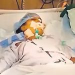 गरियाबंद में तेंदुए ने दी दस्तक, लोग दहशत में,वन विभाग ने जारी किया अलर्ट
