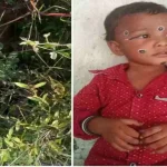 छत्तीसगढ़ में NIA की बड़ी कार्रवाई : नक्सलियों को हथियार सप्लाई करने के मामले में दो मुख्य आरोपियों को किया गिरफ्तार