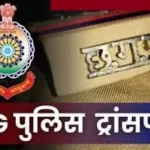 Naxal Encounter: छत्तीसगढ़-महाराष्ट्र के सीमावर्ती गढ़चिरौली में पुलिस-नक्सली मुठभेड़, 4 नक्सली ढेर