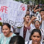 आलिया भट्ट ग्रैमी अवॉर्ड विनिंग डीजे एलन वॉकर के साथ स्टेज करेंगी शेयर