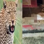गाजियाबाद : इन तीन मंदिरों में नहीं चढ़ेगा बाजार का बना प्रसाद