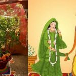 आज का राशिफल 12 नवंबर : जानिए कैसा रहेगा सभी राशियों के लिए देवउठनी एकादशी का दिन