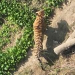 छत्तीसगढ़ में पड़ने लगी कड़ाके की ठंड : उत्तर में चलने लगी शीतलहर, कई जिलों में 9 डिग्री तक लुढ़का पारा