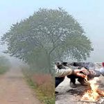 रायपुर संभाग आयुक्त कावरे ने PIT NDPS एक्ट के तहत की बड़ी कार्रवाई,4 आरोपियों को भेजा जेल