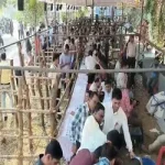 शाहरुख़ को धमकी देने वाले रायपुर के फैजान को मुंबई पुलिस ने पंडरी से किया गिरफ्तार