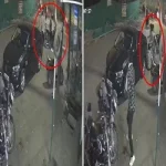 कद्दू से बनी नाव पर 70 KM की सवारी, बोट का वजन जानकर होगी हैरानी,बना वर्ल्ड रिकॉर्ड