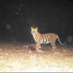 CM साय ने रायपुर से बिलासपुर तक ट्रेन से किया सफर, ट्रेन में खाई मूंगफली ,बोले- इसके बिना भारतीयों की रेल यात्रा अधूरी