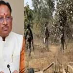 BREAKING: सुकमा में पुलिस-नक्सली मुठभेड़ में मिली बड़ी कामयाबी ,10 नक्सली को किया ढेर, 3 ऑटोमेटिक गन भी बरामद