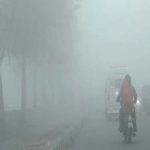 कोरबा : एक घायल हाथी जंगल से निकलकर पंहुचा गांव, आतंक के डर से ग्रामीण दहशत में