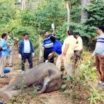 सड़क हादसे में आरक्षक की मौत,सर से धड़ हुआ अलग, वाहन चालाक फरार