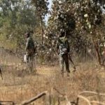 पंडो जनजाति युवक की ठंड से हुई मौत, बनियान और गमछा पहने सड़क किनारे मिली लाश