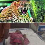 विस शीतकालीन सत्र : नेता प्रतिपक्ष महंत ने बारदाना खरीदी में बड़े भ्रष्टाचार का लगाया आरोप, कांग्रेस ने सदन से किया वॉकआउट