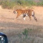एएस माइनिंग एंड मिनरल्स एलएलपी के ठिकाने पर सेंट्रल जीएसटी की टीम ने दी दबिश