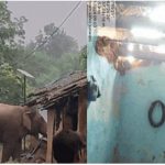 यूपी गेट से वापस लौटा राहुल गांधी का काफिला, संभल जाने की नहीं मिली इजाजत