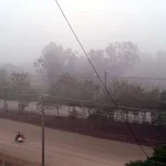 घर के पालतू कुत्ते ने आधी रात घर में घुस रहे तेंदुए से भीड़ गया, दूर भगाकर बचा ली घरवालों की जान