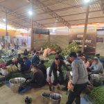 तकनीक-आधारित स्टील निर्माण को बढ़ावा देने के लिए जिन्दल स्टील