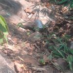 सेवा का महायज्ञ: महाकुंभ में अदाणी समूह का अनुकरणीय योगदान,ग्राउंड लेवल पर सेवा कार्यों की निगरानी कर रहे चेयरमैन गौतम अदाणी